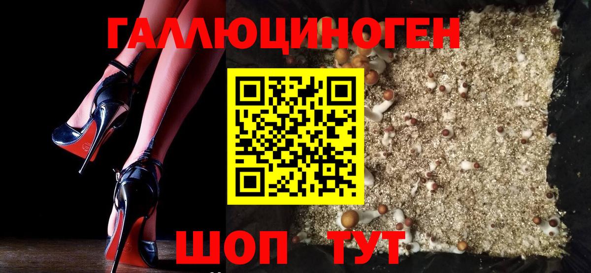 Норильск  Галлюциногенные грибы Psilocybe  Вход с VPN 