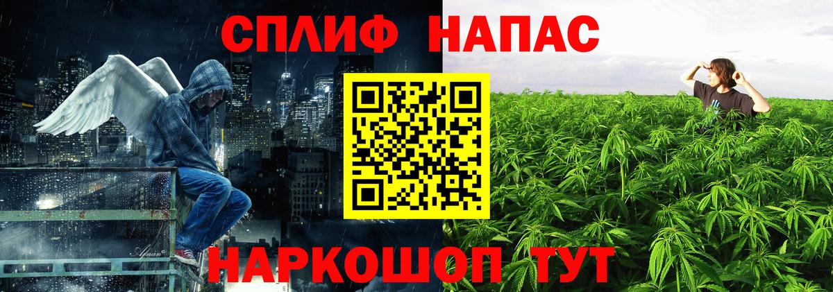 Шишки марихуана семена Норильск